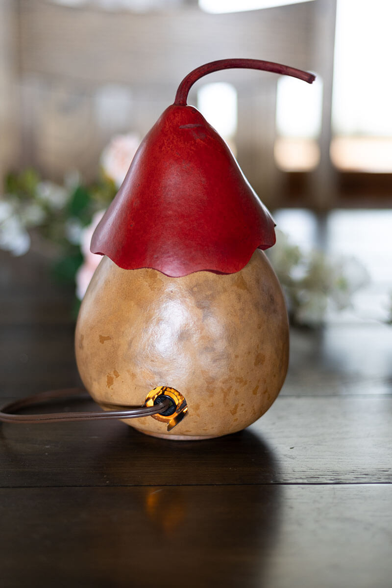 Heart Birdhouse Cottage Back View at Meadowbrooke Gourds. 