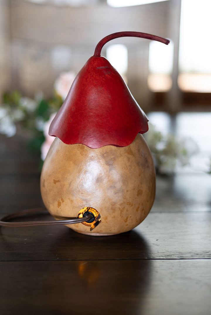 Heart Birdhouse Cottage Back View at Meadowbrooke Gourds. 