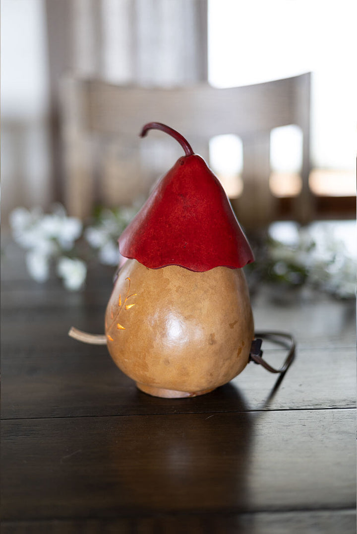 Heart Birdhouse Cottage Side View at Meadowbrooke Gourds. 