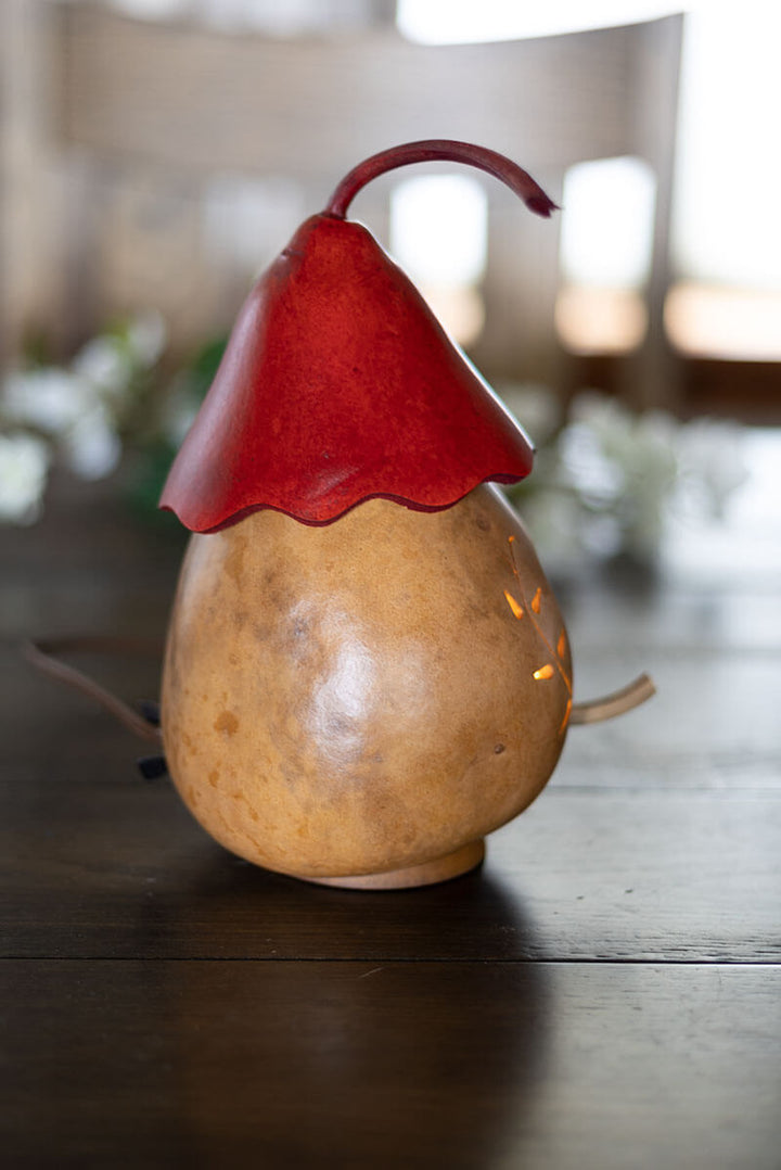 Heart Birdhouse Cottage Side View at Meadowbrooke Gourds. 